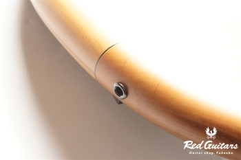 Platinum Series Single-Cut , e-volution 5 - Macassar Ebony